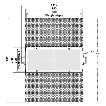 Drawing Platform Scales